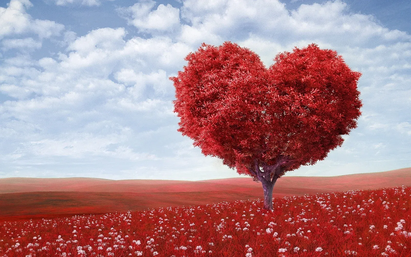 Everything I Know About Writing I Learned From FanFiction — article image